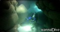 scuba diving photo
