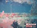 foto de buceo