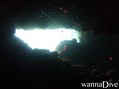 scuba diving photo
