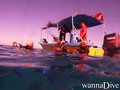 scuba diving photo