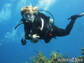 scuba diving photo