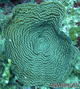 foto de buceo