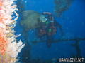 scuba diving photo