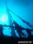 scuba diving photo