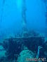 scuba diving photo