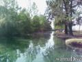 foto de buceo