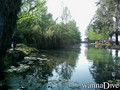 foto de buceo