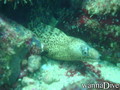 foto de buceo