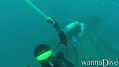 scuba diving photo