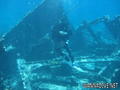 scuba diving photo