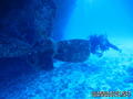 scuba diving photo