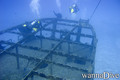 scuba diving photo