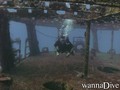 scuba diving photo