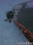scuba diving photo