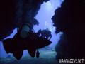 scuba diving photo
