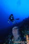 scuba diving photo