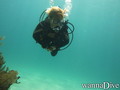 scuba diving photo