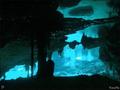 scuba diving photo