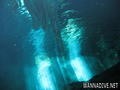 scuba diving photo
