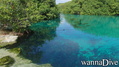 scuba diving photo