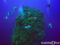 scuba diving photo