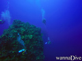 scuba diving photo