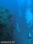 scuba diving photo