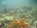 foto de buceo