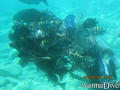 scuba diving photo