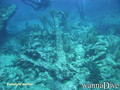 scuba diving photo