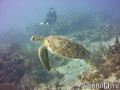 foto de buceo