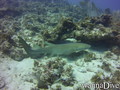foto de buceo