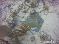 foto de buceo