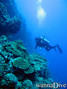 foto de buceo
