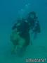 scuba diving photo