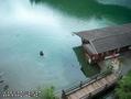 scuba diving photo