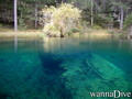 scuba diving photo
