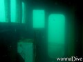 scuba diving photo