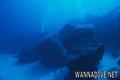scuba diving photo