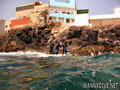 scuba diving photo