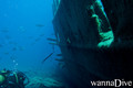 scuba diving photo
