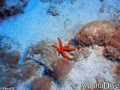 foto de buceo