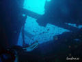 scuba diving photo