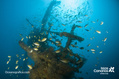 scuba diving photo