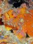 foto de buceo