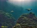 foto de buceo