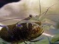 foto de buceo