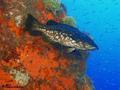 foto de buceo