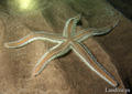 foto de buceo