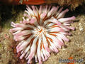 foto de buceo